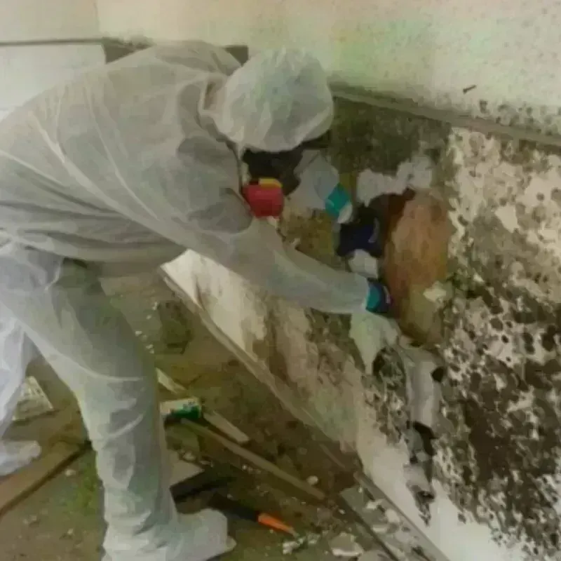 Mold Remediation and Removal in Pretty Bayou, FL