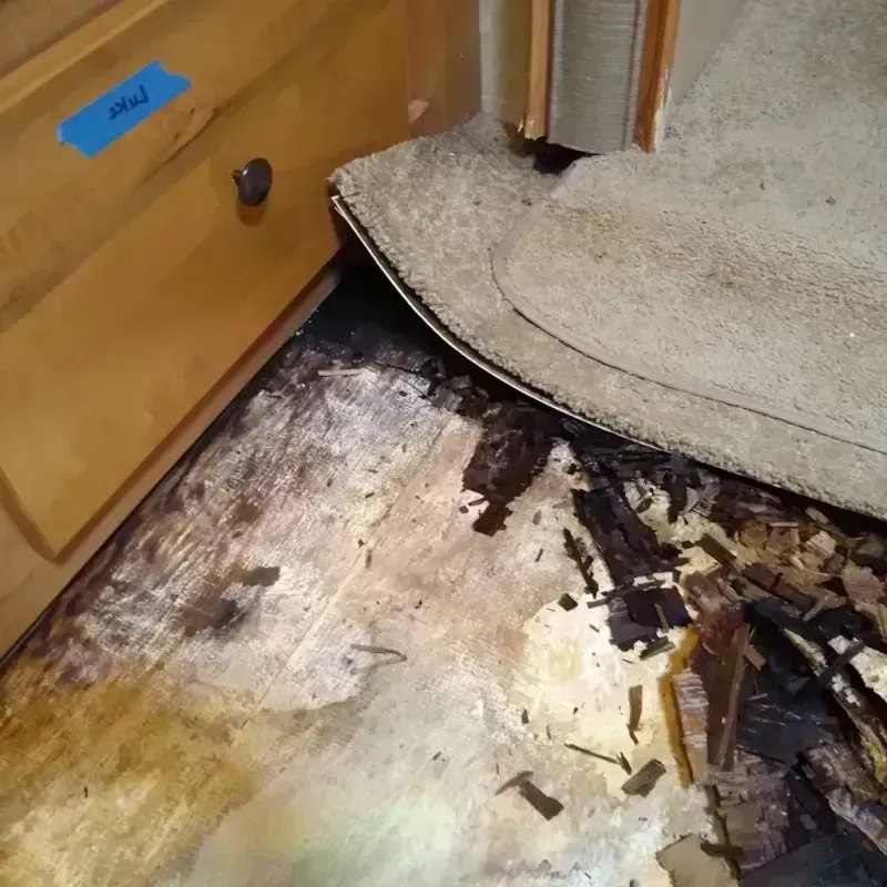 Wood Floor Water Damage in Pretty Bayou, FL